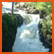Chute Dorwin